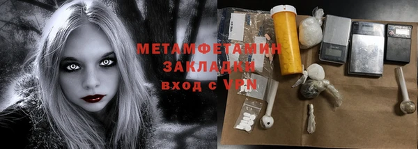 прущие грибы Арсеньев